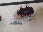 Hielolaspis auratus ?