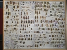 velká krabice cerambyx 11