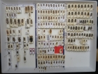 krabice 23 stenidea oplosia